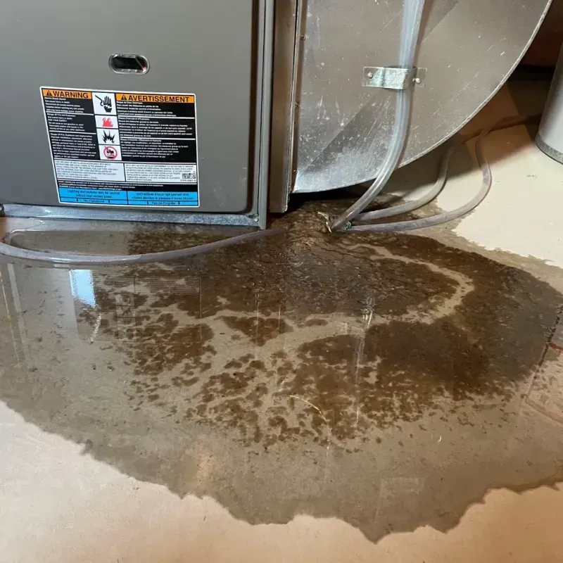 Appliance Leak Cleanup in North Kansas City, MO